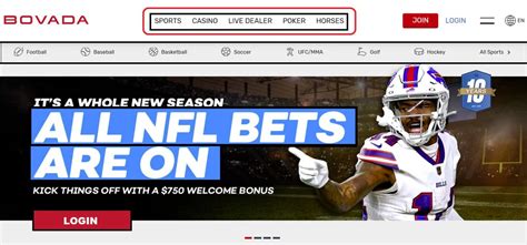 Bovada sports log in